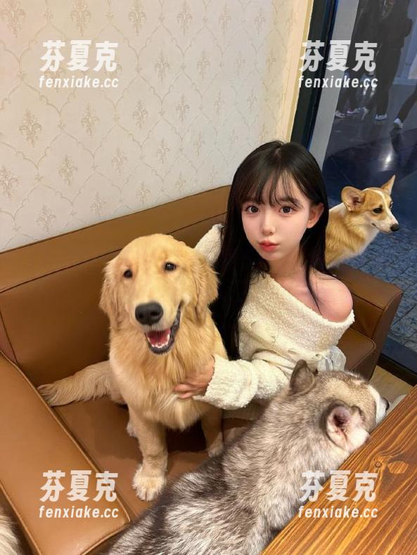 51吃瓜 安卓用户必看51吃瓜每日大赛官网入口