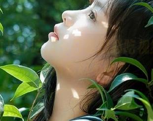 51吃瓜今日吃瓜必吃视频大放送，精彩瓜不断