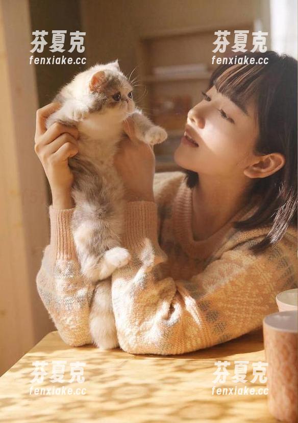 51吃瓜群众 女生力荐51吃瓜群众安卓收藏,轻松获取每日瓜料