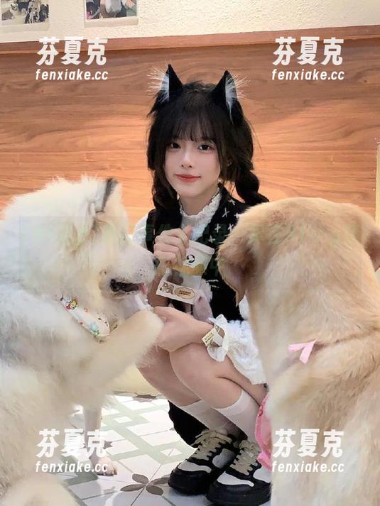 热门事件全纪录，尽在91icg精彩视频中