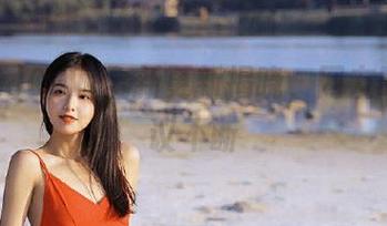 CGW全新更新揭晓，网友吃瓜热议不断