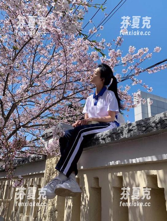 五一吃瓜 五一吃瓜官网网页版app最新升级,带来全新吃瓜视觉