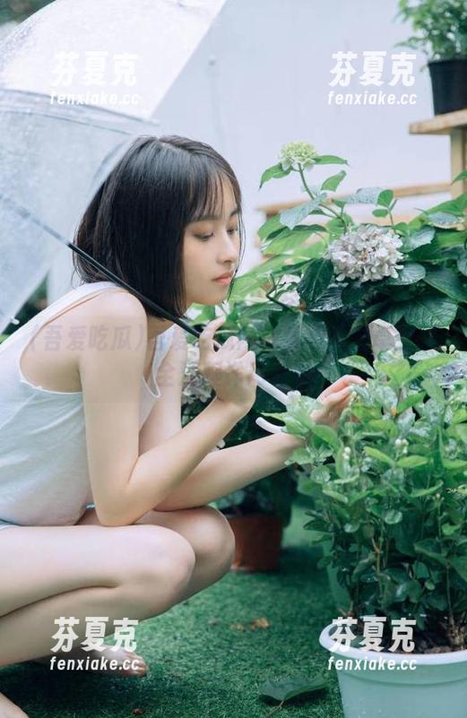 吾爱吃瓜 吾爱吃瓜网在线观看安卓登录全流程详尽说明