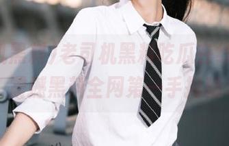 老司机黑料吃瓜在线网页，震撼黑料全网第一手揭秘